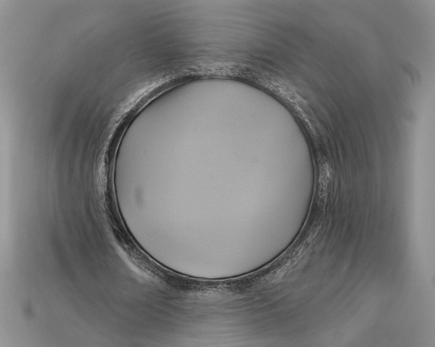 X0000114670674200911121333