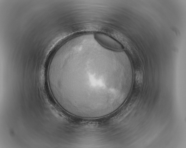 X0000114670676200911121333