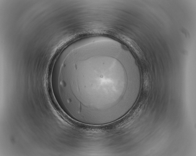 X0000114670677200911121333