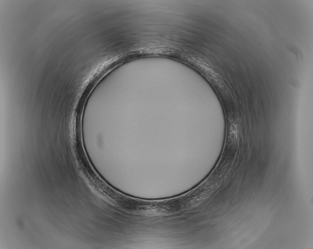 X0000114670678200911121333