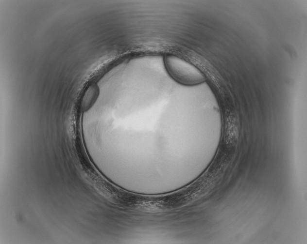 X0000114670680200911121333