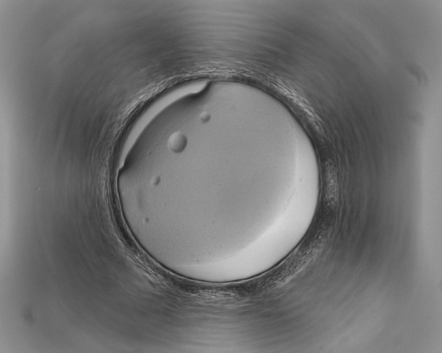 X0000114670681200911121333