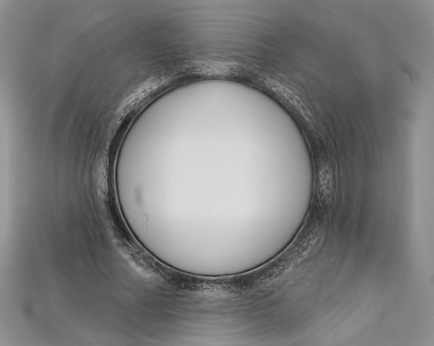 X0000114670682200911121333