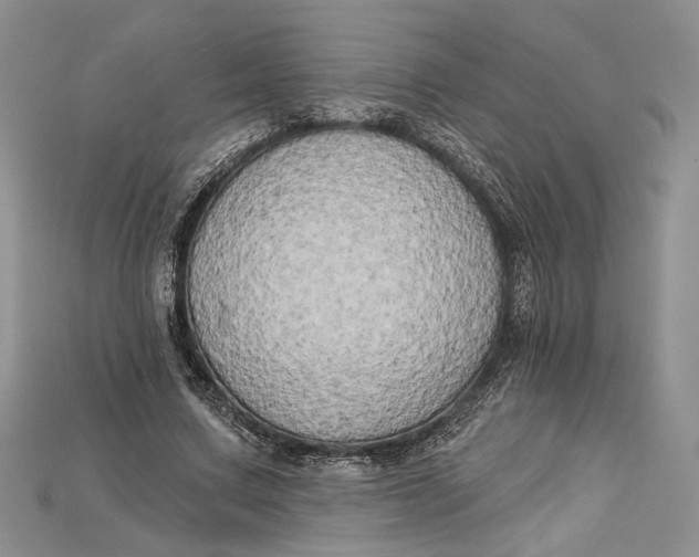 X0000114670683200911121333