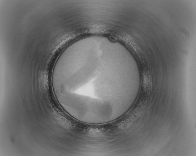 X0000114670684200911121333