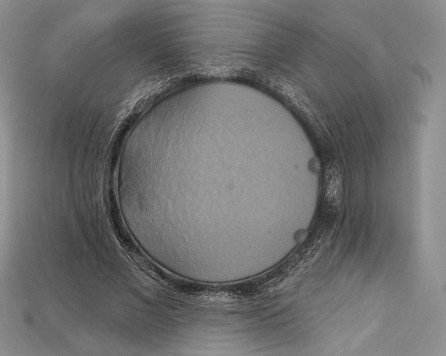 X0000114670685200911121333