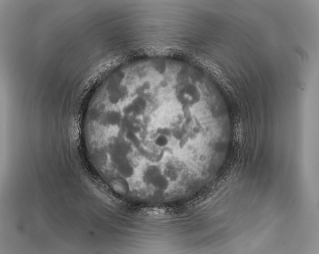 X0000114670687200911121333