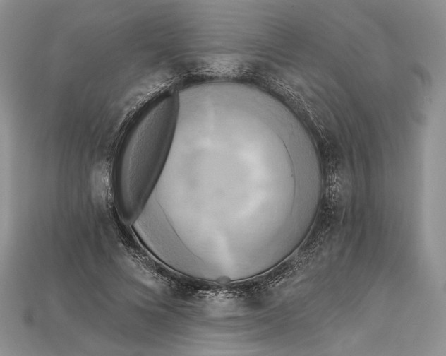 X0000114670688200911121333