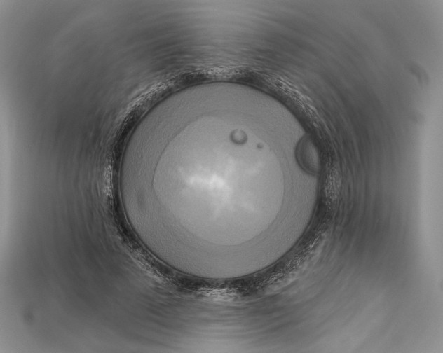 X0000114670689200911121333