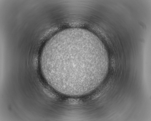 X0000114670690200911121333