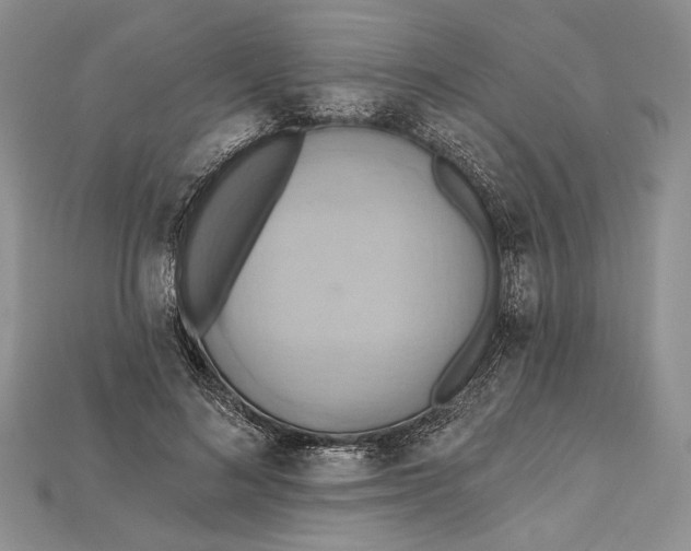 X0000114670692200911121333