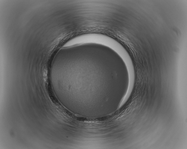 X0000114670693200911121333