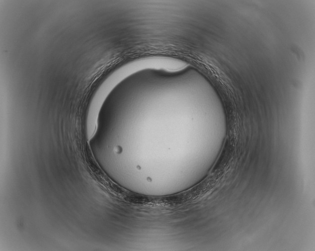 X0000114670696200911121333