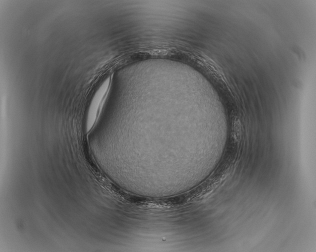 X0000114670697200911121333