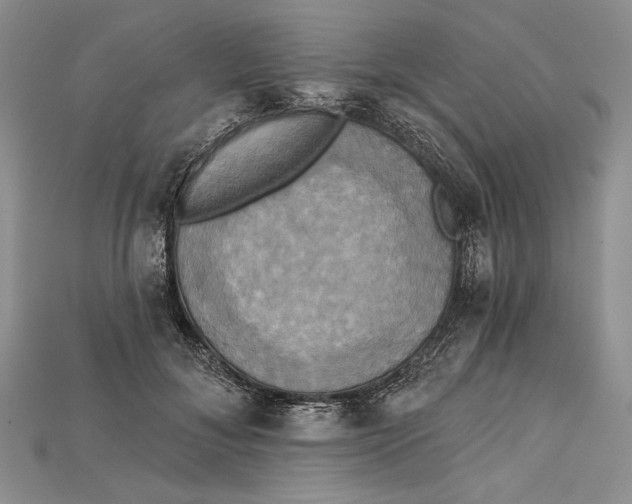 X0000114670700200911121333