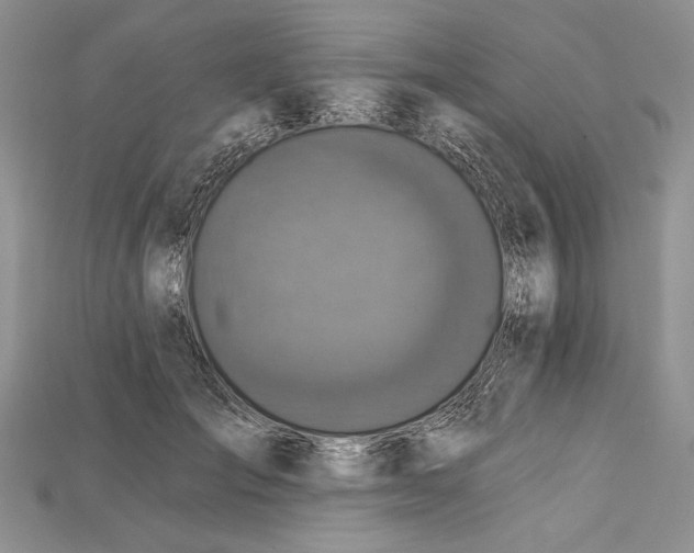 X0000114670701200911121333