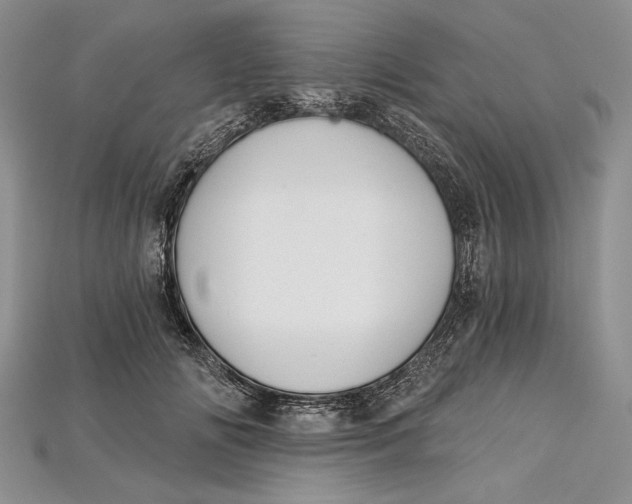 X0000114670702200911121333