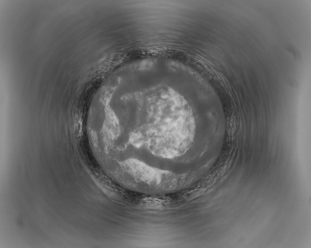 X0000114670703200911121333