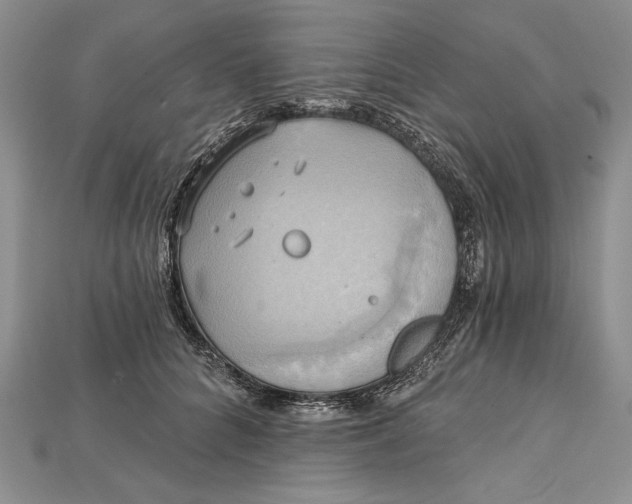 X0000114670704200911121333