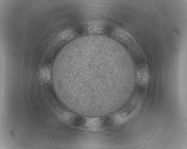 X0000114670705200911121333