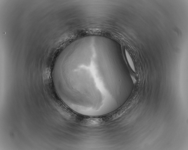 X0000114670711200911121333