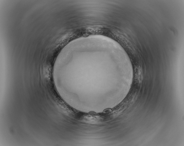 X0000114670712200911121333