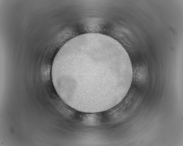 X0000114670717200911121333