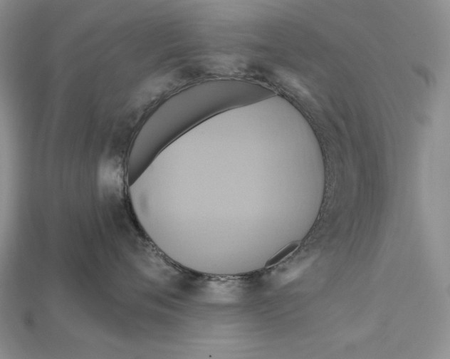 X0000114670720200911121333