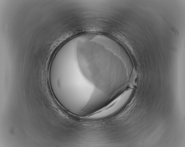 X0000114670721200911121332