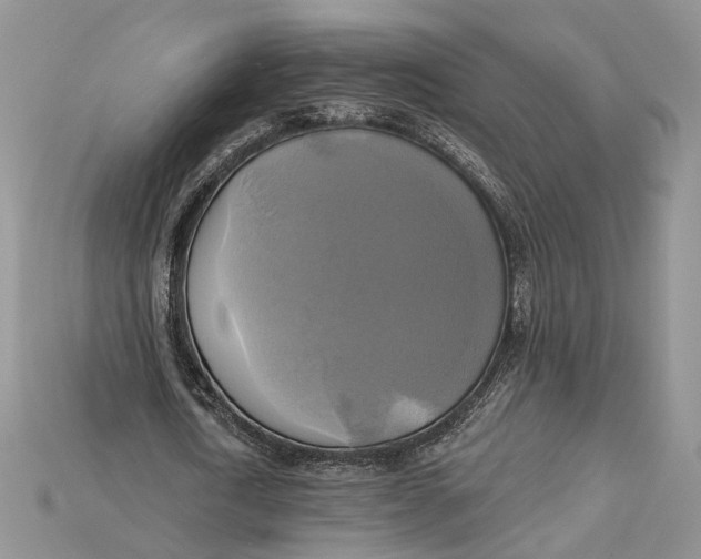 X0000114670722200911121332