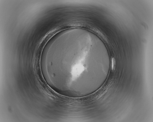 X0000114670723200911121332