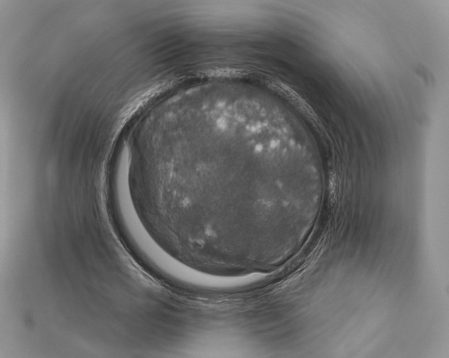 X0000114670725200911121332