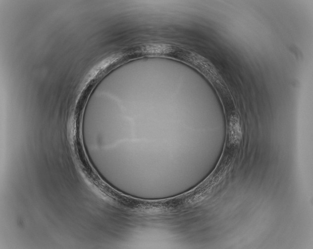 X0000114670726200911121332