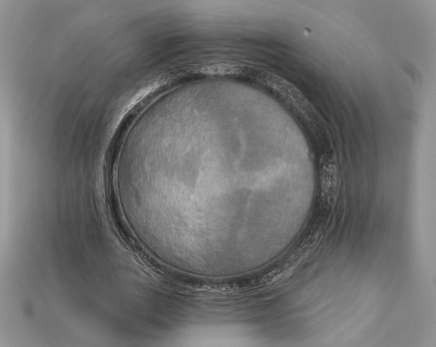 X0000114670727200911121332