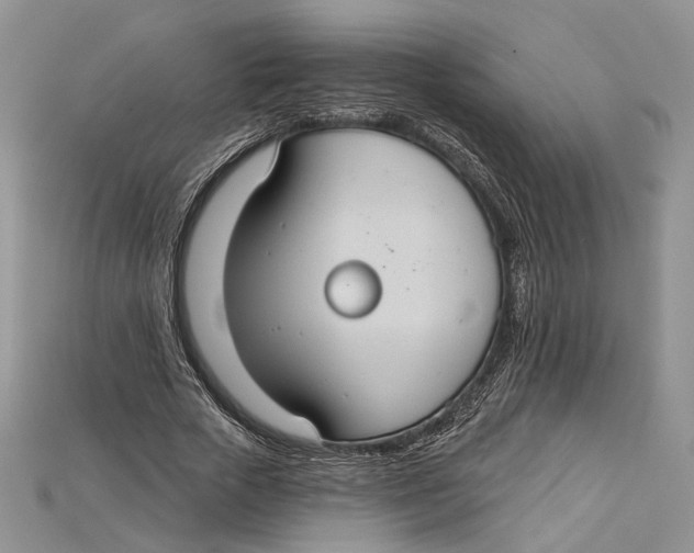 X0000114670729200911121332