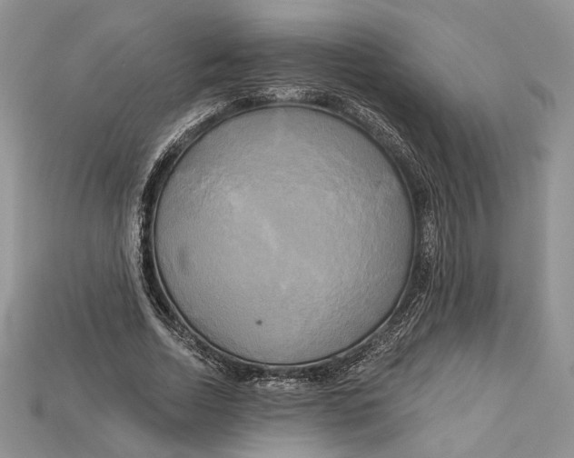 X0000114670730200911121332