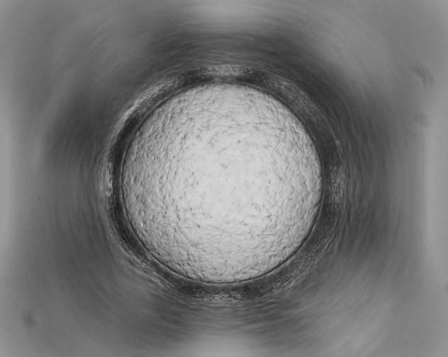 X0000114670731200911121332