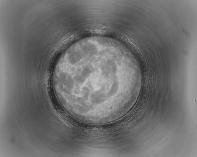 X0000114670738200911121332