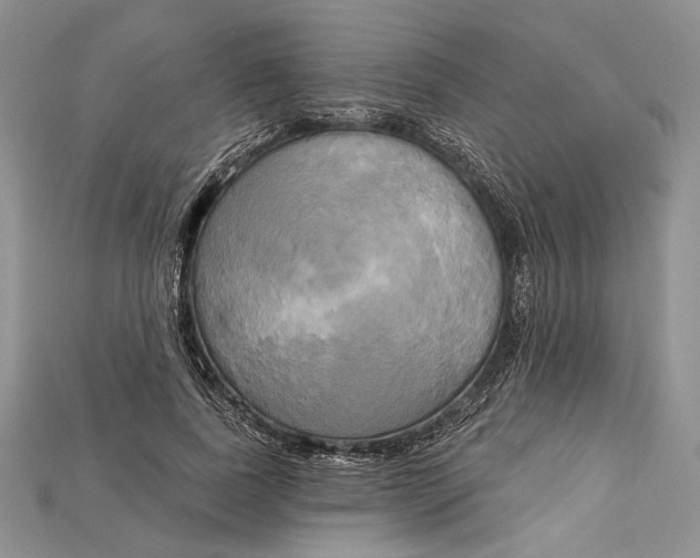 X0000114670739200911121332