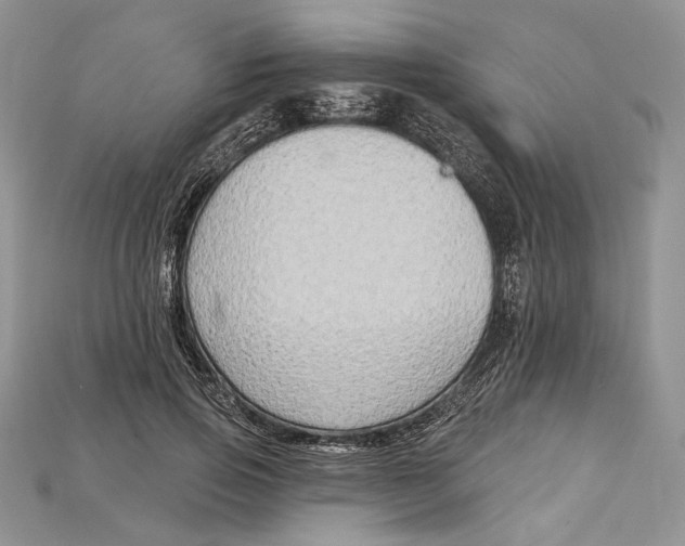 X0000114670741200911121332