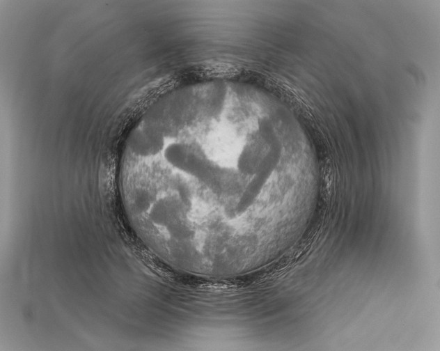 X0000114670745200911121332