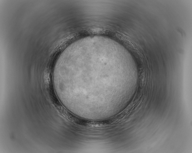 X0000114670746200911121332