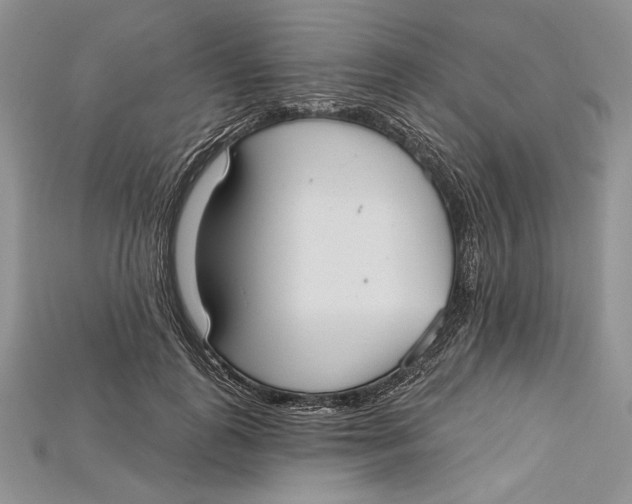 X0000114670747200911121332