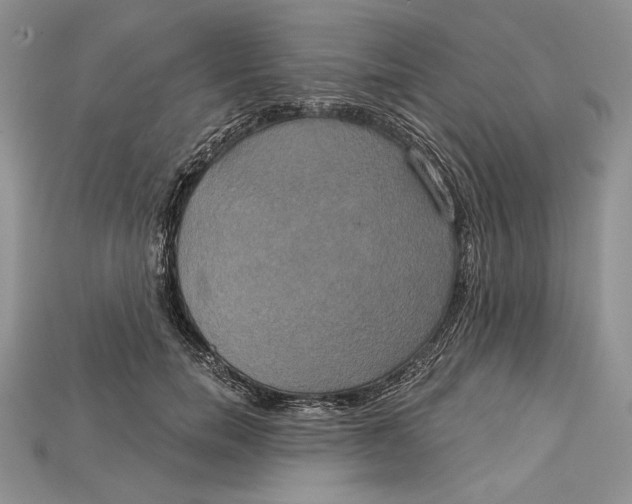 X0000114670750200911121333