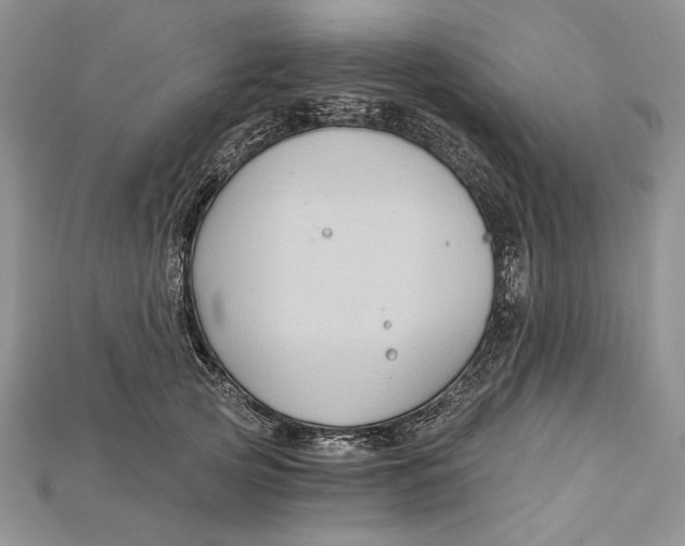 X0000114670753200911121333