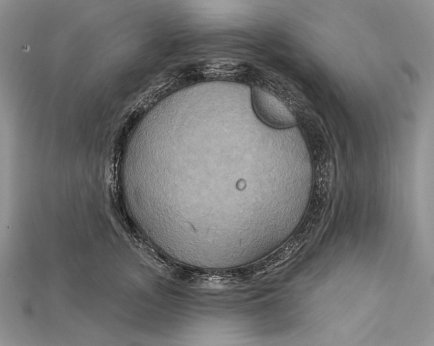 X0000114670755200911121333