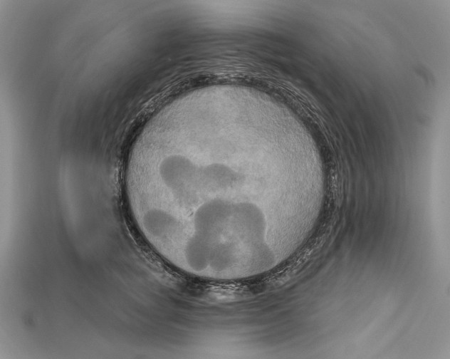 X0000114670757200911121333