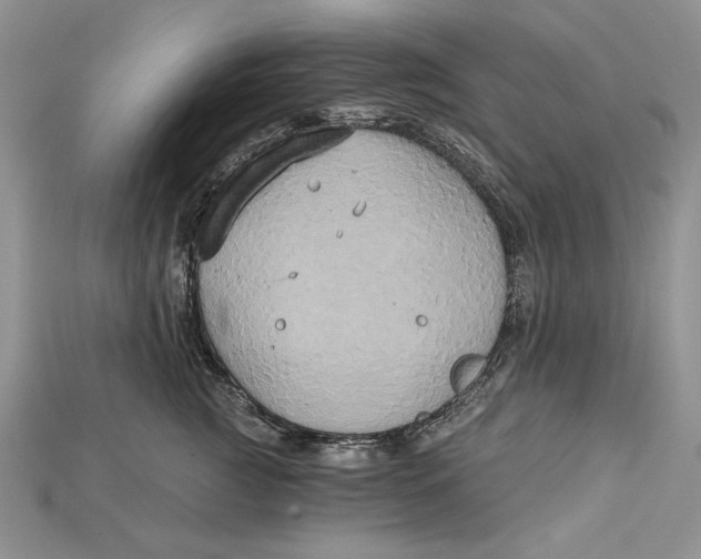 X0000114670761200911121333