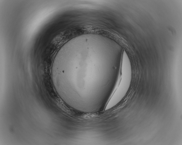 X0000114670762200911121333