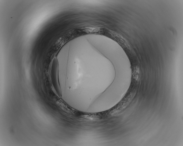 X0000114670763200911121333